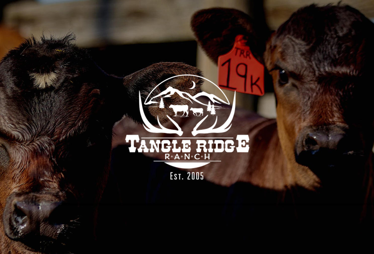 Directory - Bone to Broth